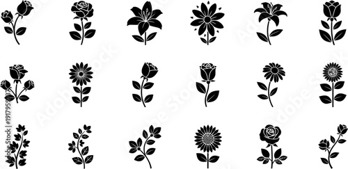 Black and white floral silhouettes on white background flowers
