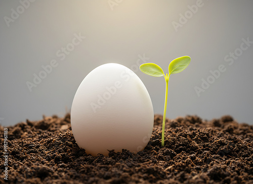 Egg and green seedling growing in soil