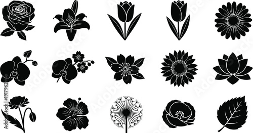 Black and white floral silhouettes of various flowers background