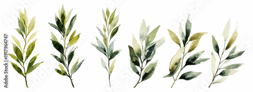 Delicate watercolor botanical set featuring green eucalyptus branches, fern leaves, and floral elements ideal for nature-inspired wedding designs. Vector illustration.