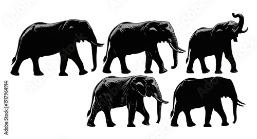 Five Elephants Silhouettes Isolated on White Background.