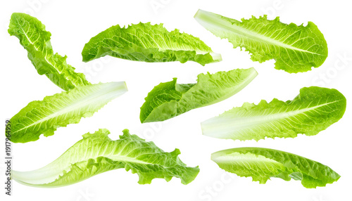 Set of fresh romaine lettuce leaves pieces, crisp green salad vegetable ingredient collection on isolated background