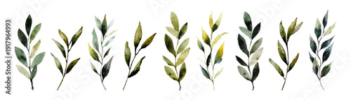 Watercolor greenery border with delicate leaves and botanical elements. Fresh green foliage frame perfect for spring wedding invitations and floral designs. Vector illustration.