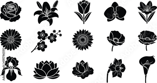 Black and white floral silhouettes on white background flowers