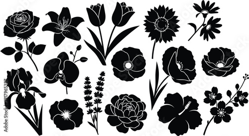 Black and white floral silhouettes with white outlines on plain white background flowers