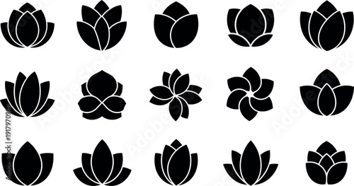 Black lotus flower on white background