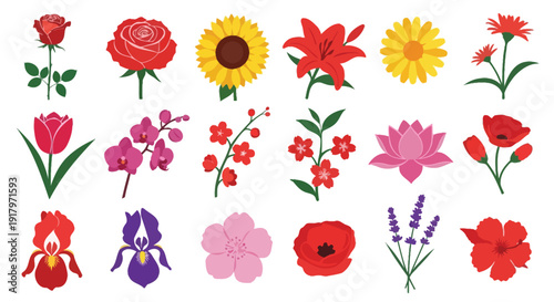 Colorful flowers collection including roses sunflowers lilies tulips orchids and more lily