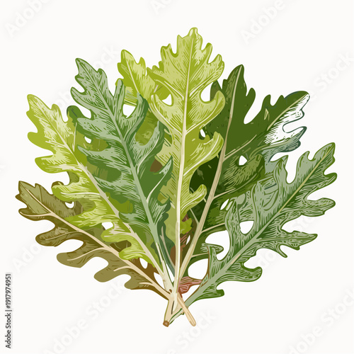 Fresh kale leaves arranged in a bouquet, showcasing their vibrant green colors and varied textures, from a top-down perspective.