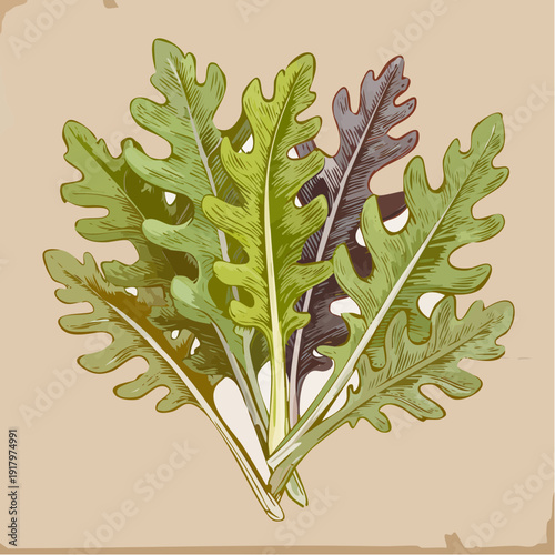 Fresh bunch of leafy green plants on a beige surface indoors
