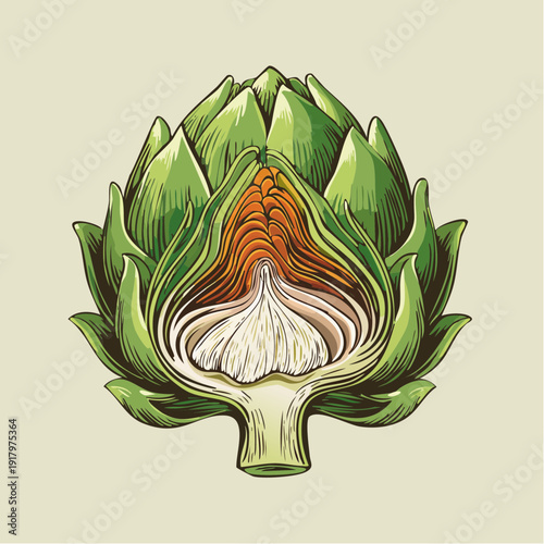 Vibrant illustration of an artichoke cut open showcasing its layered interior