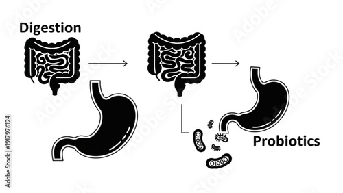 Vector Icon Sheet Illustrating Digestion Process with Probiotics in the Human Body