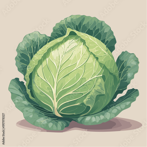 A vibrant green cabbage sits on a beige surface surrounded by its leaves.