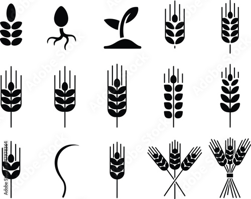 Black vector silhouette set of wheat ears grain stalks and organic plant sprouts for agriculture farming bakery logo food production and natural harvest branding