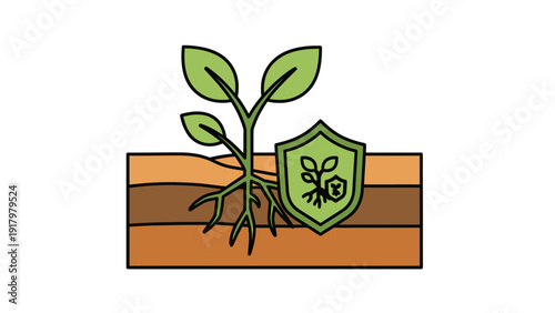 Protecting plant roots in healthy soil