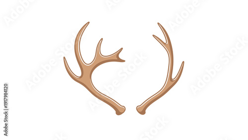 Illustration of deer antlers on white background.