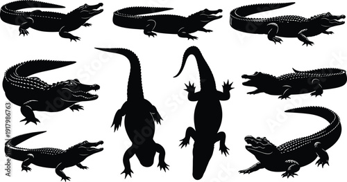Alligator and crocodile silhouette collection showing reptiles in multiple poses, wildlife predator animals concept isolated on white background detailed vector illustration set design