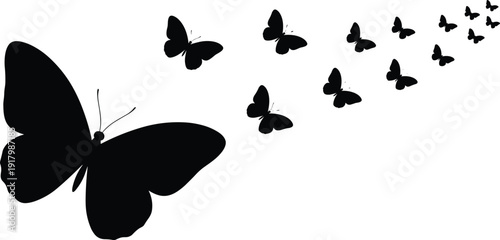 Black butterfly silhouettes flying in sequence, elegant nature insects in motion, minimal vector illustration for freedom, transformation, beauty, spring design, and abstract background concepts