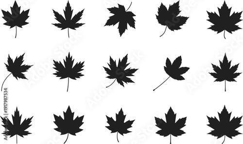 Black maple leaf silhouette vector set featuring multiple autumn leaves isolated on white background for fall nature, seasonal design, botanical illustration projects
