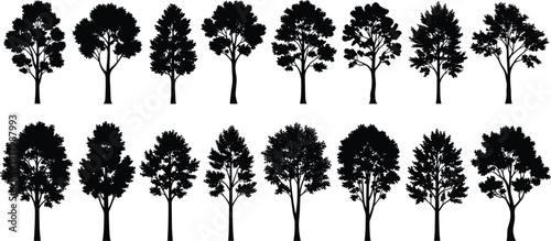 Large collection of black tree silhouettes featuring various deciduous species and forest plants in different shapes and sizes isolated vector illustration on white background.