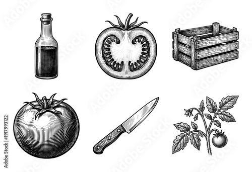 Vintage engraving style tomato collection featuring whole fruit, cross section, organic plant, glass bottle, wooden crate, and kitchen knife