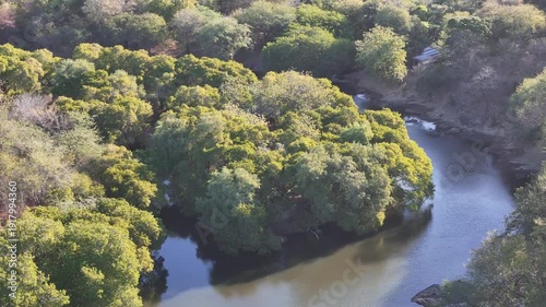 Exploring a river surrounded by trees in a sunny area