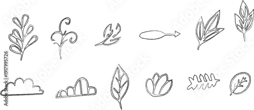 Collection of various leaf shapes and a fish