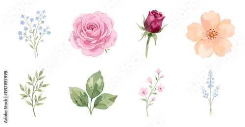 Watercolor Floral Elements Collection, Pink Roses and Greenery
