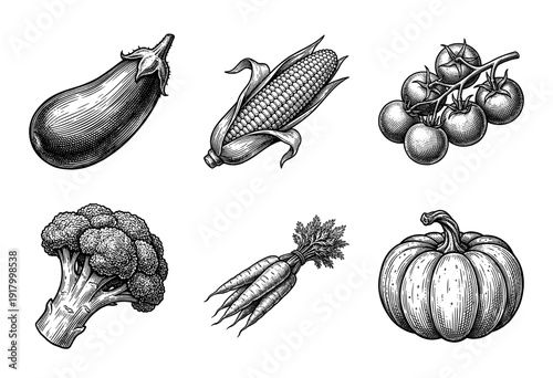 Vintage woodcut style collection of organic farm vegetables featuring eggplant corn tomatoes broccoli carrots and pumpkin