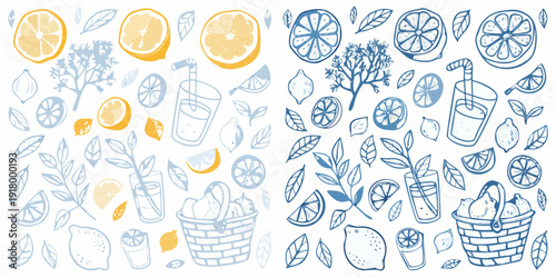 A colorful sketch featuring citrus fruits plants and refreshing beverages