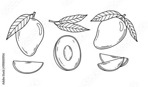 Hand Drawn Mango Outline Doodle Vector Illustration Set