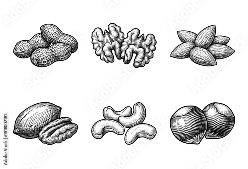 Set of hand drawn monochrome nut illustrations including peanuts, walnuts, almonds, pecans, cashews, and hazelnuts in a vintage woodcut engraving style.