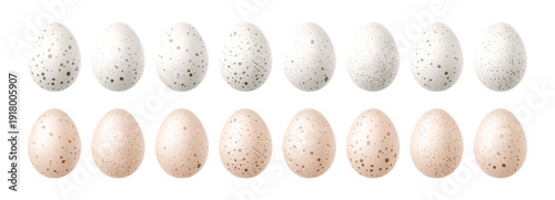 Easter egg with hatching chick breaking through white shell. Realistic farm bird illustration. Cute newborn chicken emerging from cracked egg isolated on clean background