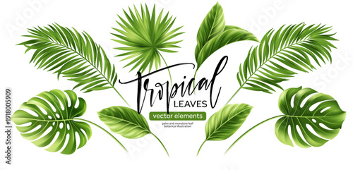 Tropical palm leaves in lush green shades. Realistic 3D monstera foliage and exotic jungle leaf elements isolated on white background for summer designs