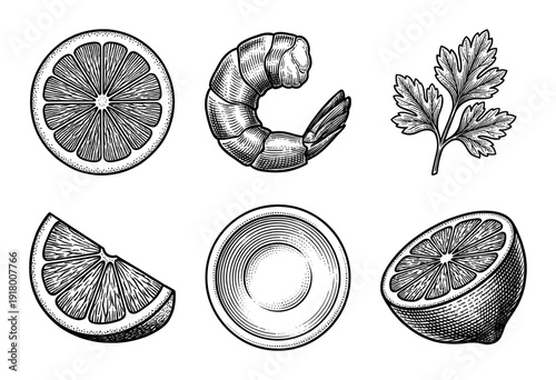 Set of seafood and citrus ingredients including shrimp, lemon slices, parsley, and sauce bowl in a vintage woodcut engraving style