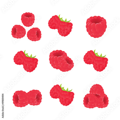 Raspberry Fruit Set with Single and Cluster Raspberries – Fresh Red Raspberry Flat Vector Illustration