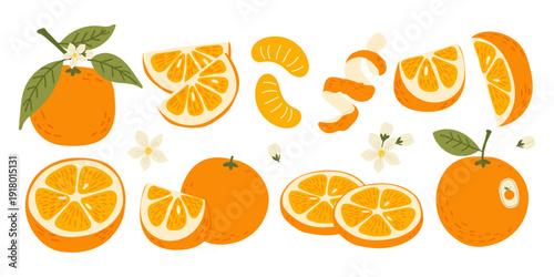 Summer orange fruit set with leaves, slices and branches. Fresh healthy food collection in flat style. Vector illustration isolated on white background