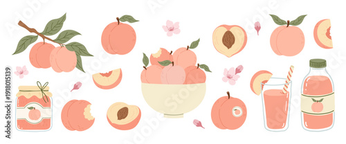 Summer peach collection with whole and bitten fruits, halved with pit and slice, glass and bottle juice, jar of jam, bowl of ripe fruits. Fresh and healthy food set in flat style. Vector illustration
