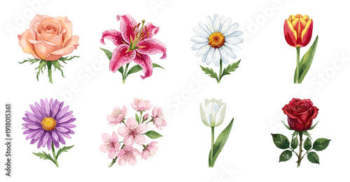 Set of Watercolor Floral Illustrations, Botanical Vector Collection