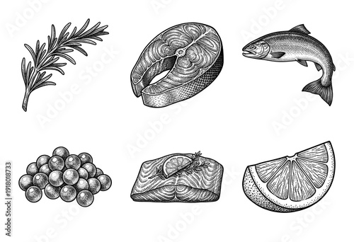 Vintage engraving style collection of salmon fish icons featuring steaks, fillets, whole fish, caviar, rosemary, and lemon slices