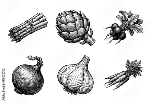 Vintage woodcut style collection of fresh garden vegetables including asparagus, artichoke, radishes, onion, garlic, and carrots in black and white line art.