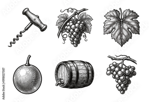 Vintage hand drawn engraving style wine production and viticulture collection featuring grapes, corkscrew, barrel, and leaf