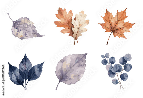 Watercolor Autumn Leaf Collection on White Background