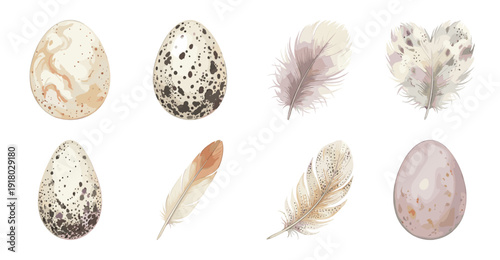Watercolor Bird Eggs and Feathers Vector Collection