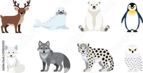 Arctic and Polar Animal Illustration Set Featuring Reindeer, Harp Seal, Polar Bear, Penguin, Arctic Fox, Grey Wolf, Snow Leopard, and Snowy Owl for Wildlife Education