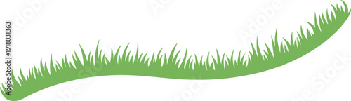 A curved green grass with a smooth flowing shape against a white background accents