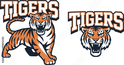 Fierce tiger mascot with the word TIGERS in bold lettering for sports teams or athletic branding on a white background