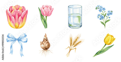 Spring Floral Vector Set with Tulips and Wheat