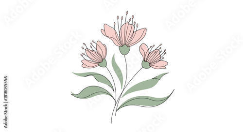 An elegant line art illustration of three blooming pink flowers with delicate stamens and soft green leaves on thin stems, isolated on white.