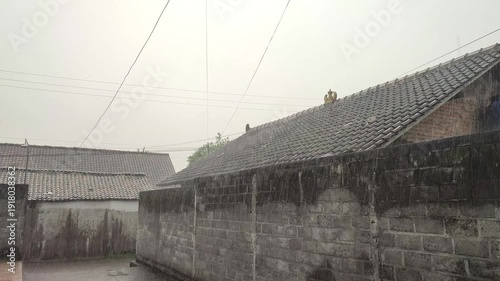 Heavy rain against a backdrop of walls and buildings in a rural setting.