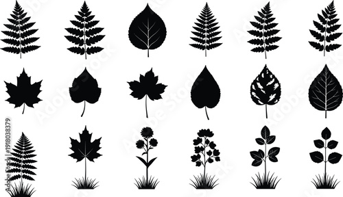 Black Leaf Silhouette Vector Collection Featuring Maple Fern Linden and Meadow Plants Isolated on White Background for Nature Forest Design Patterns and Autumn Illustrations